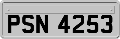 PSN4253