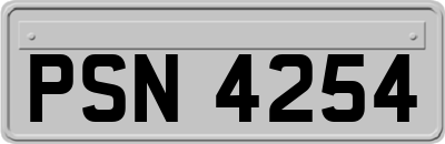 PSN4254