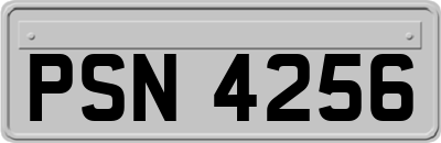 PSN4256