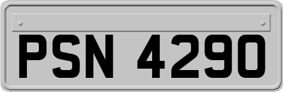 PSN4290