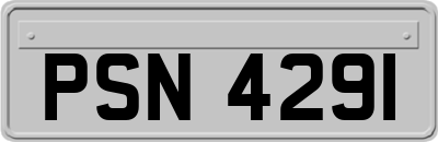PSN4291