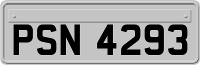 PSN4293
