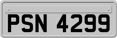 PSN4299