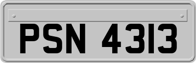 PSN4313