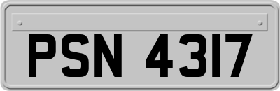 PSN4317