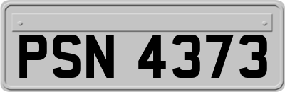 PSN4373