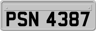 PSN4387