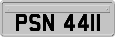 PSN4411