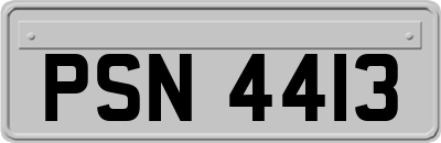 PSN4413