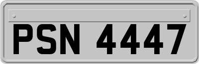 PSN4447