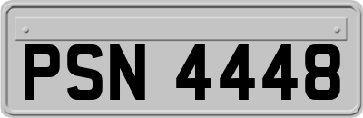 PSN4448