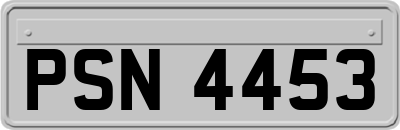 PSN4453