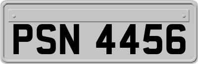 PSN4456