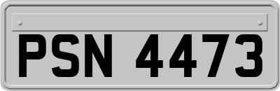 PSN4473
