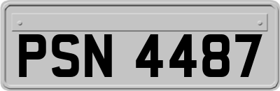 PSN4487