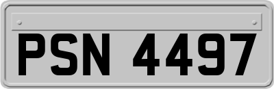 PSN4497