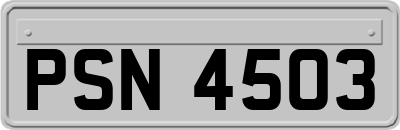 PSN4503
