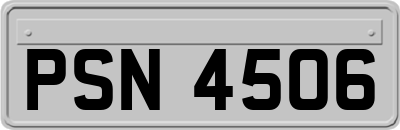 PSN4506