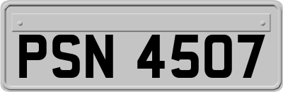 PSN4507