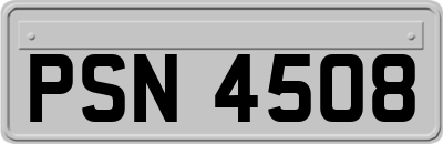 PSN4508