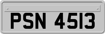 PSN4513