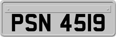 PSN4519