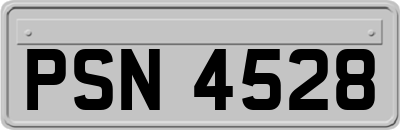 PSN4528