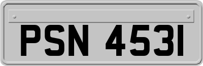 PSN4531