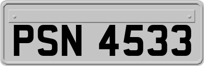 PSN4533