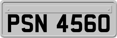 PSN4560