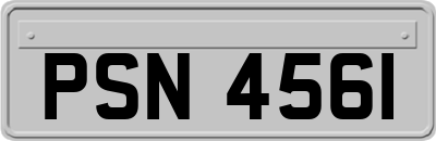 PSN4561