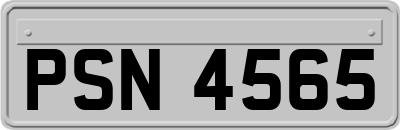 PSN4565