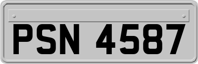 PSN4587