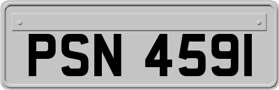 PSN4591