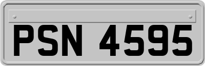 PSN4595