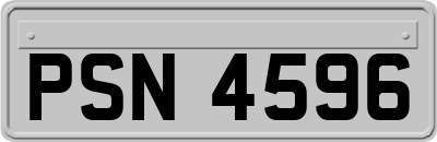 PSN4596
