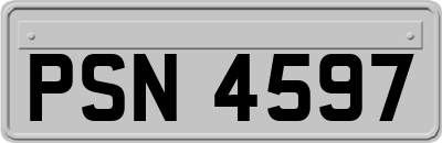 PSN4597