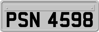 PSN4598