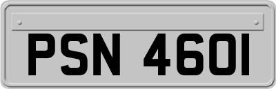 PSN4601