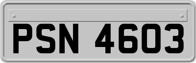 PSN4603