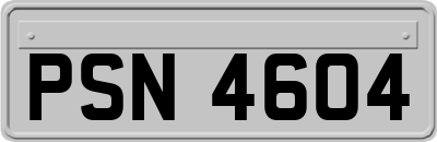 PSN4604