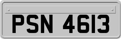 PSN4613