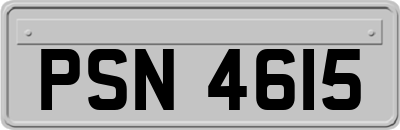 PSN4615