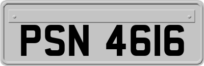 PSN4616