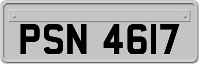 PSN4617