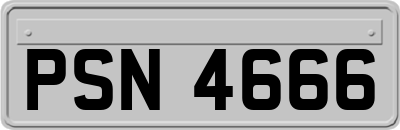 PSN4666
