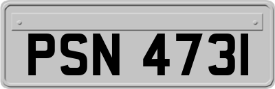 PSN4731