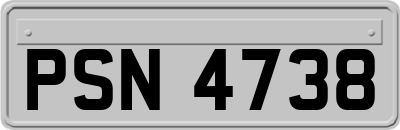 PSN4738