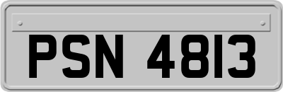 PSN4813