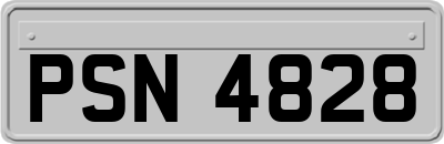 PSN4828